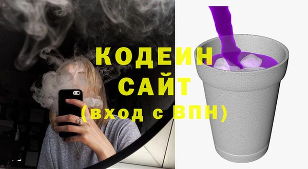 ГАЛЛЮЦИНОГЕННЫЕ ГРИБЫ Пестово