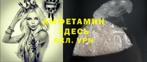 сатива Пересвет