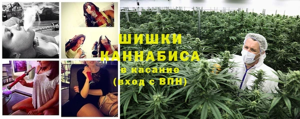 мяу мяу кристалл Переславль-Залесский