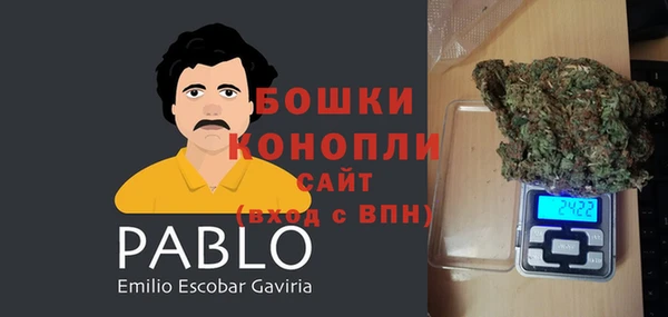 сатива Пересвет