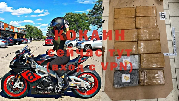ГАЛЛЮЦИНОГЕННЫЕ ГРИБЫ Пестово