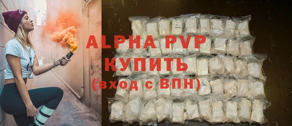 сатива Пересвет